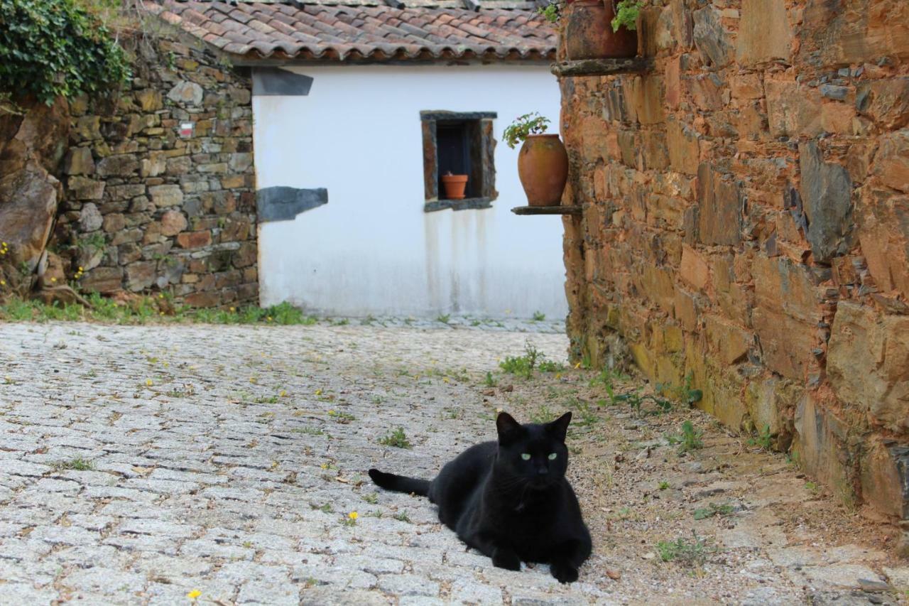 Vilar Dos Condes Casa rural
